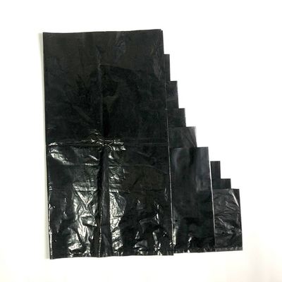 Jeune plante en plastique plantant des sacs avec des appareillages de cliniques de secours de trous