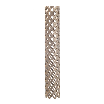 Implants orthopédiques Mesh Cage For Spine Surgery titanique spinal