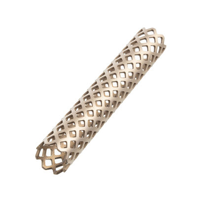 Implants orthopédiques Mesh Cage For Spine Surgery titanique spinal