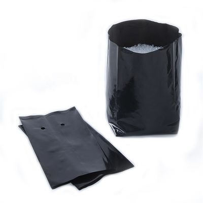 Jeune plante en plastique plantant des sacs avec des appareillages de cliniques de secours de trous